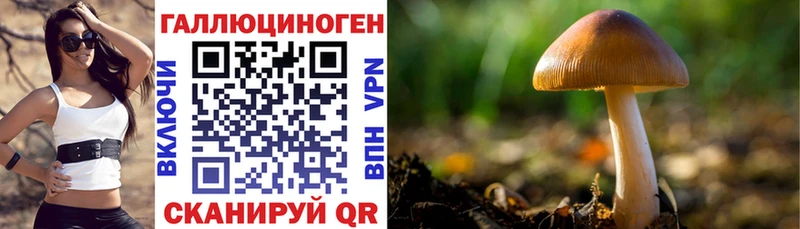 Галлюциногенные грибы MAGIC MUSHROOMS Злынка